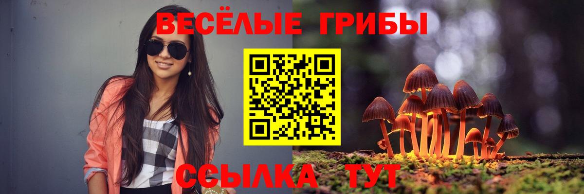 где найти наркотики  Галлюциногенные грибы прущие грибы  Вход с VPN  Воркута 
